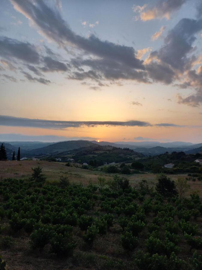Gite Vigneron Du Domaine D'Alon Magrie ภายนอก รูปภาพ