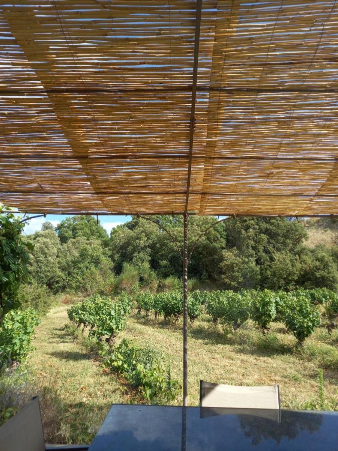 Gite Vigneron Du Domaine D'Alon Magrie ภายนอก รูปภาพ