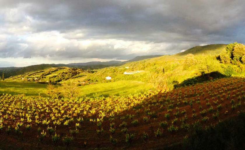 Gite Vigneron Du Domaine D'Alon Magrie ภายนอก รูปภาพ