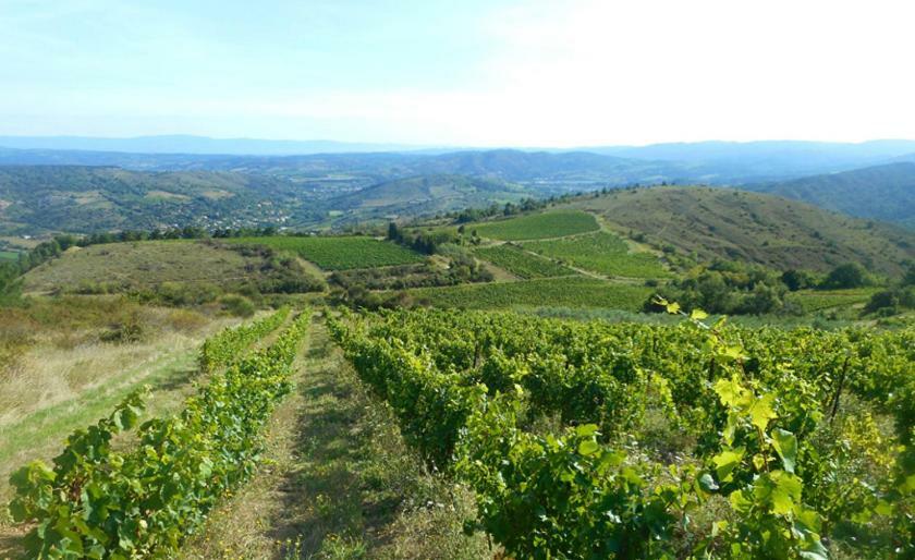 Gite Vigneron Du Domaine D'Alon Magrie ภายนอก รูปภาพ