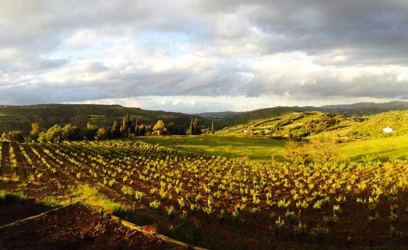 Gite Vigneron Du Domaine D'Alon Magrie ภายนอก รูปภาพ