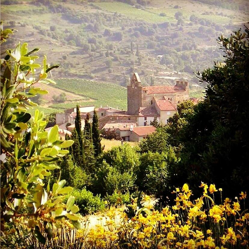 Gite Vigneron Du Domaine D'Alon Magrie ภายนอก รูปภาพ