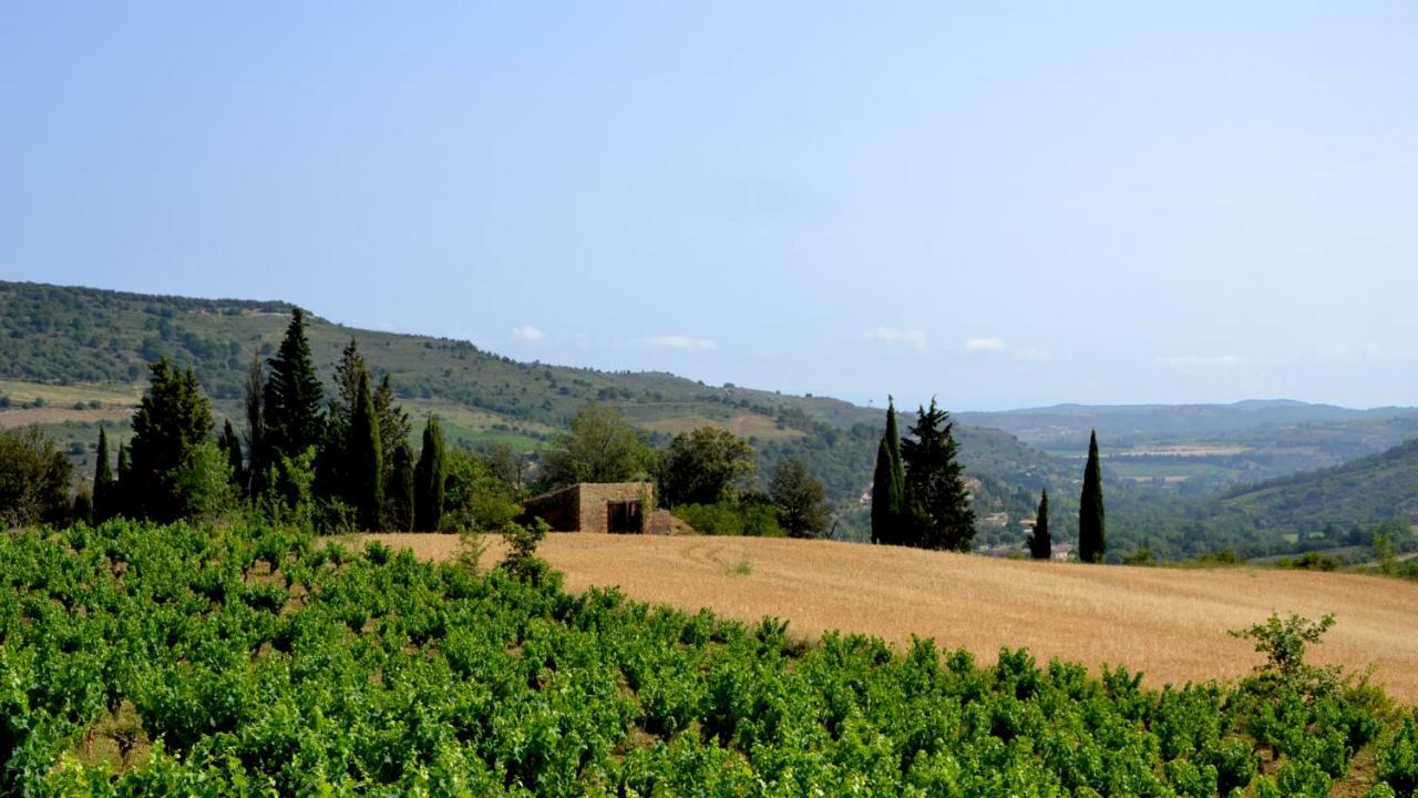 Gite Vigneron Du Domaine D'Alon Magrie ภายนอก รูปภาพ