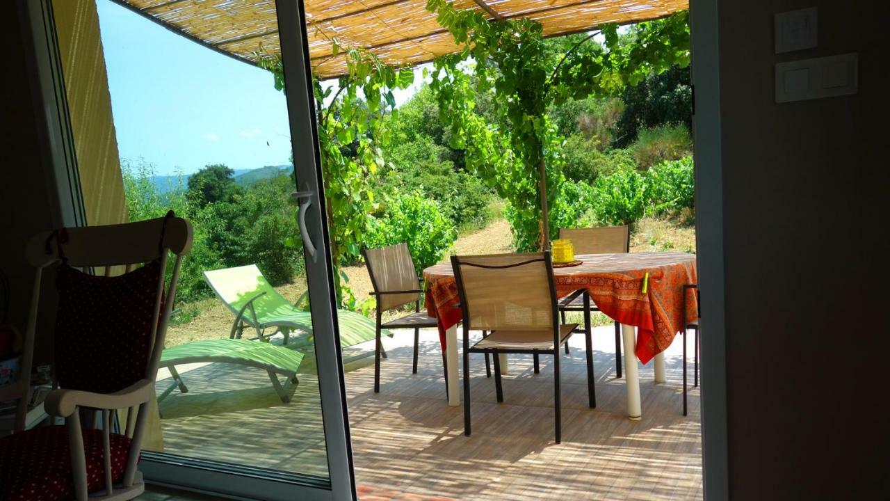 Gite Vigneron Du Domaine D'Alon Magrie ภายนอก รูปภาพ